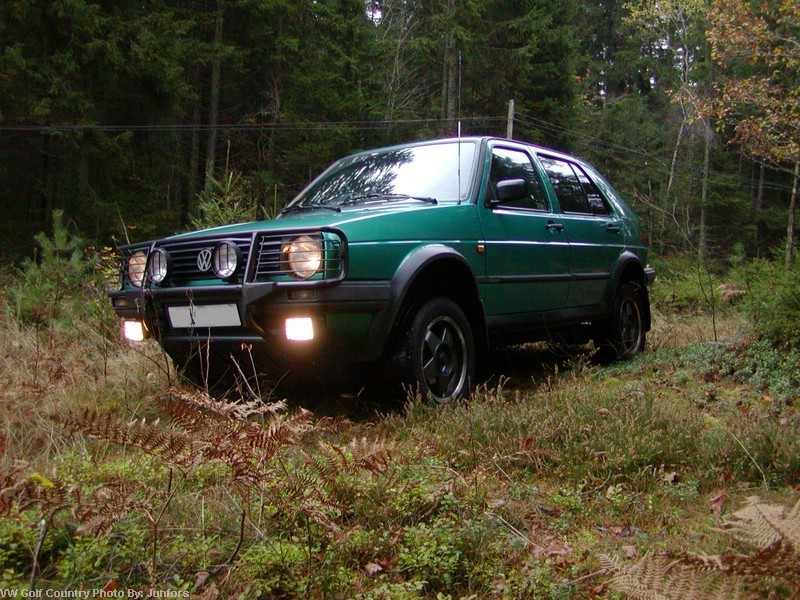 Pa261822.jpg